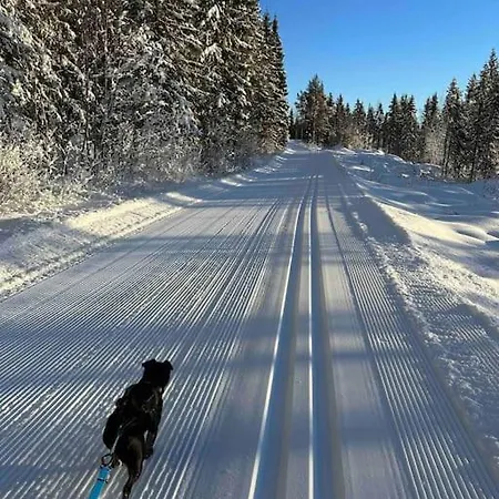 Koselig Hytte, Naer Finnskogen Og Valerbanen